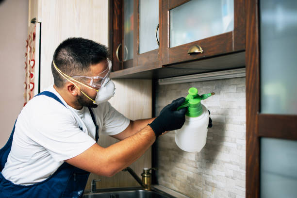 Best Best Pest Control Companies  in Southside, AR