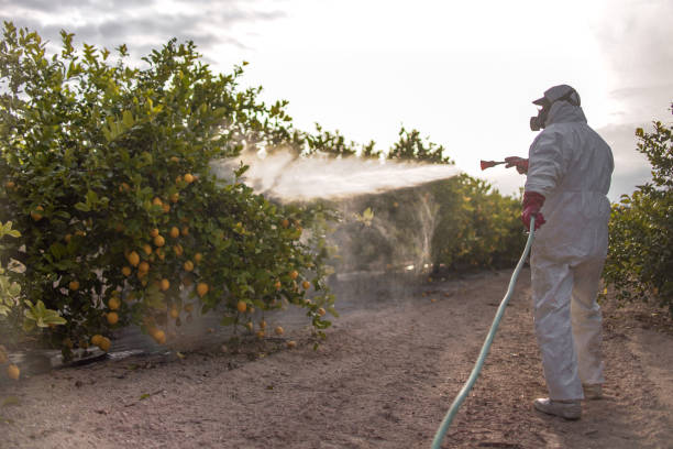 Trusted Southside, AR Pest Control Experts