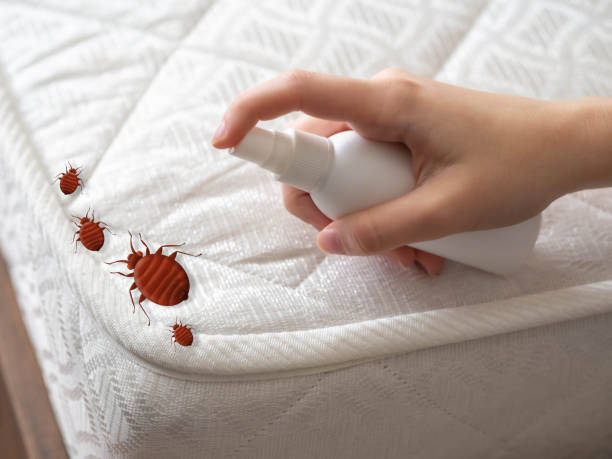 Best Emergency Pest Control  in Southside, AR