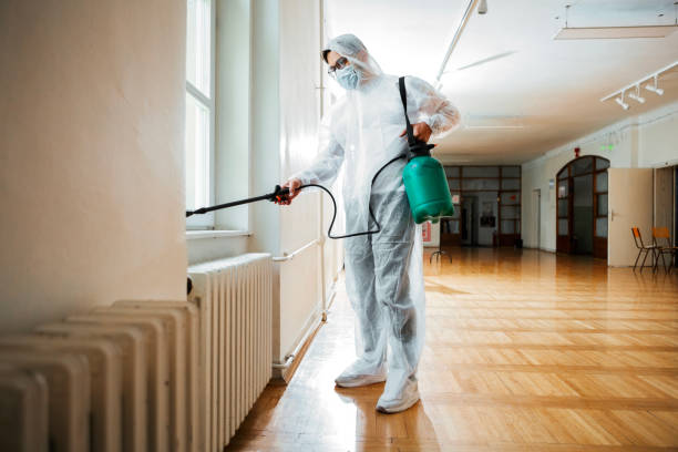 Best Affordable Pest Control Services  in Southside, AR